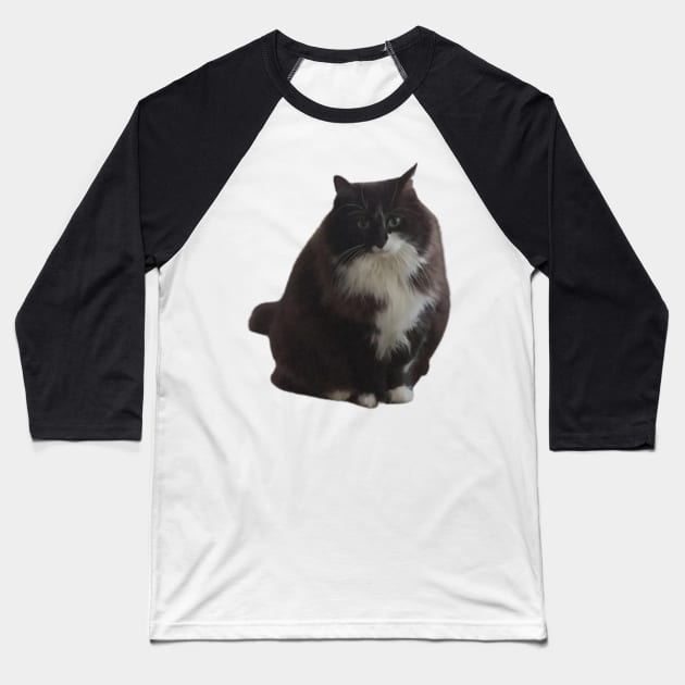 Fat cat Baseball T-Shirt by Tanias01